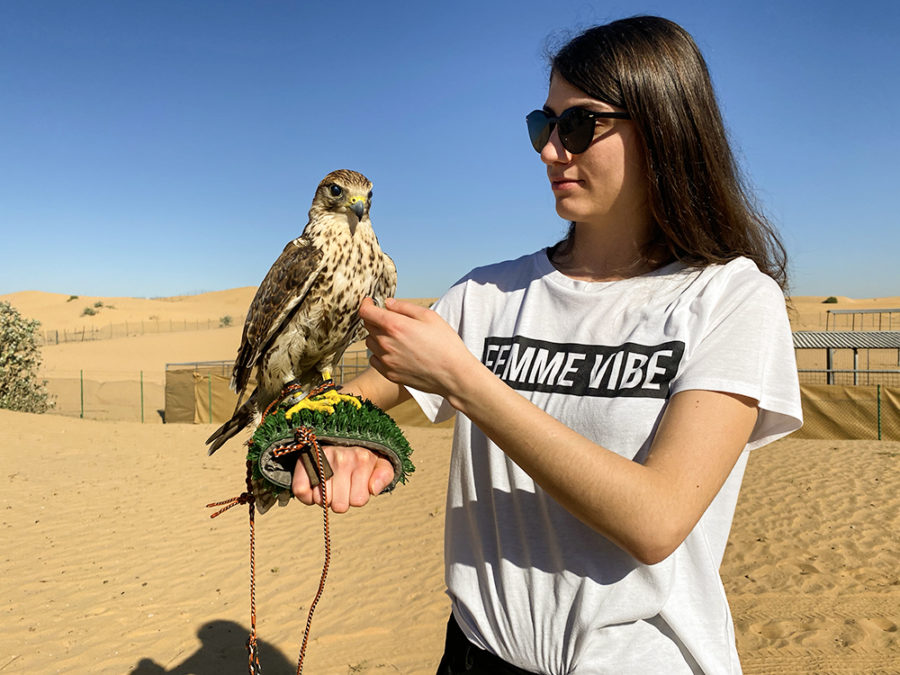 Sunrise Desert Safari in Dubai Is A New Adventure Option In Middle East