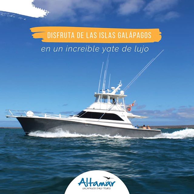 Have a Fun-Filled Yacht Experience in the Galapagos Islands with These ...