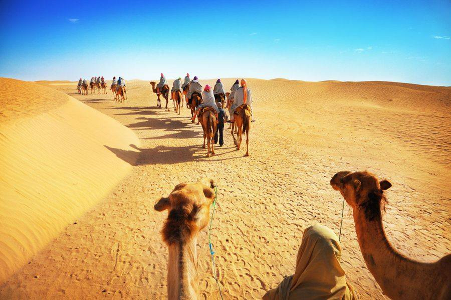 Great Dubai Desert Safaris