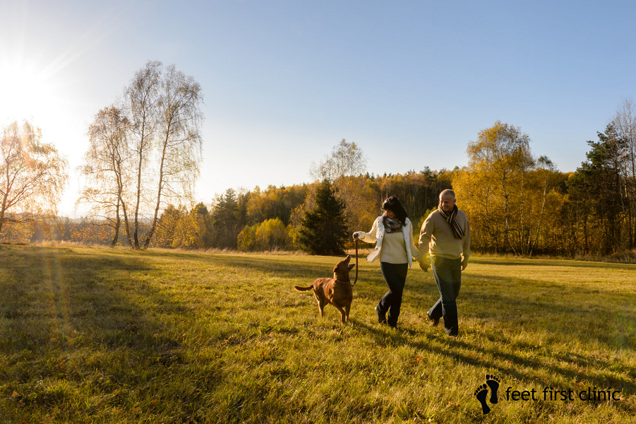 4 Dog Walking Spots In Toronto That You & Your Dog Will Love