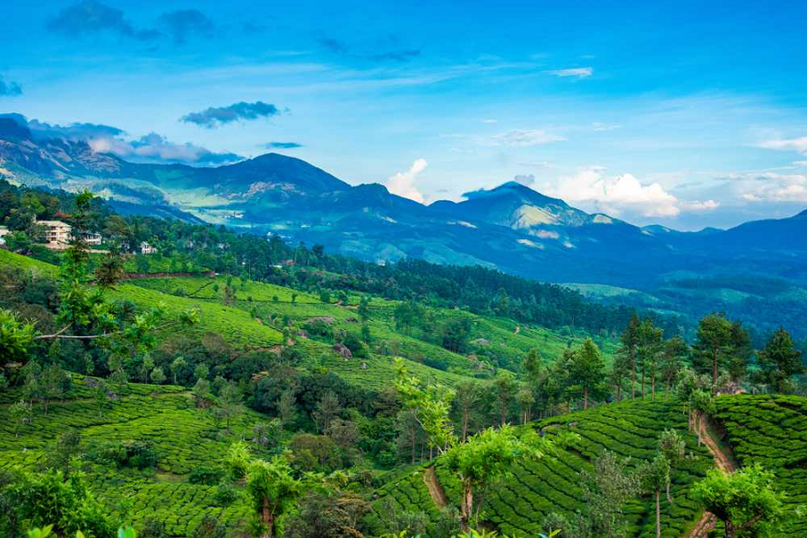 Recommended Tourist Places in Puncak Bogor