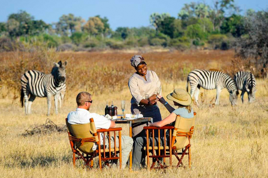 10 of the Best Activities in Botswana