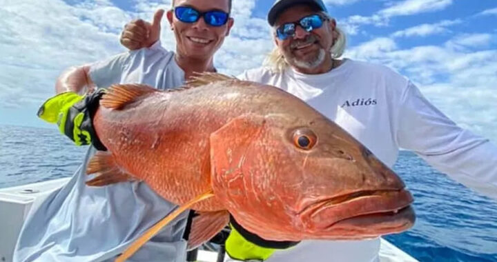 Sportfishing in Costa Rica The Ultimate Anglers Guide