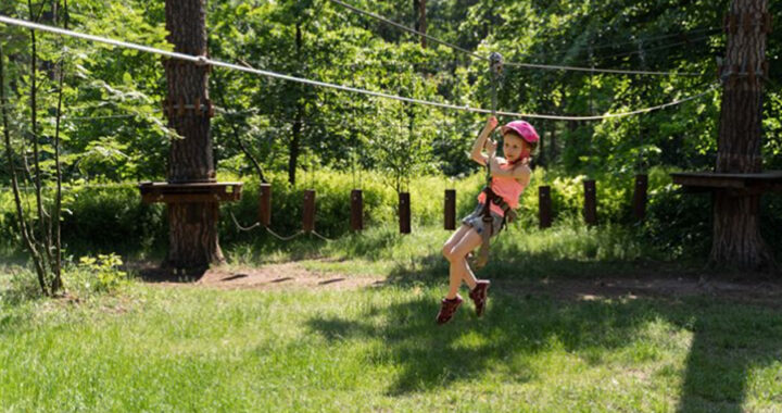 Is the Flying Fox Zipline Ride in Singapore Good for Kids