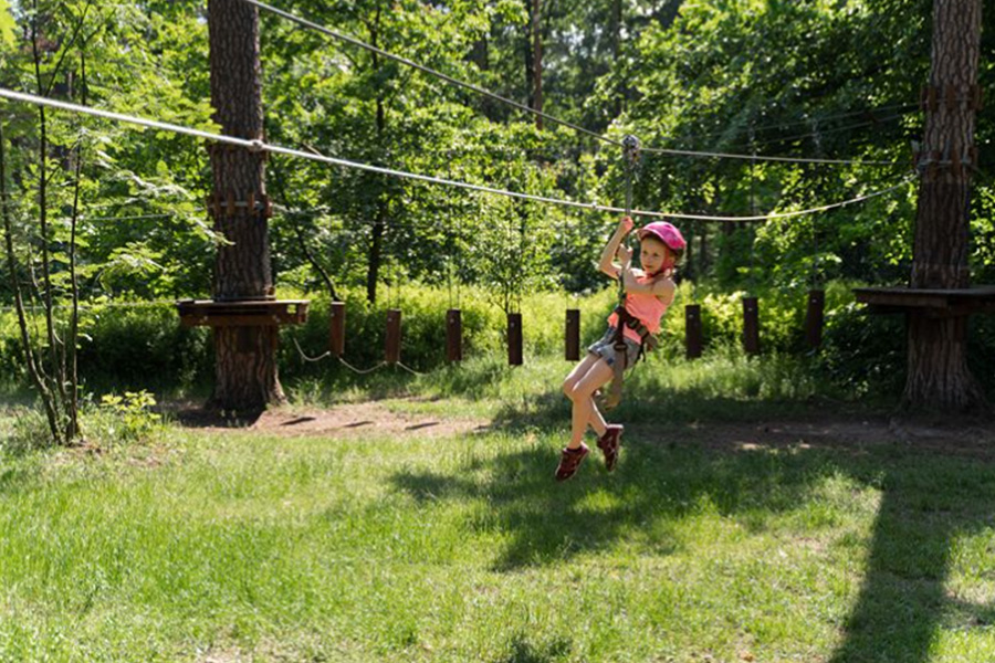 Is the Flying Fox Zipline Ride in Singapore Good for Kids